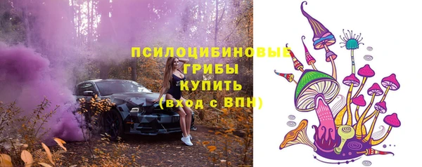 скорость Няндома